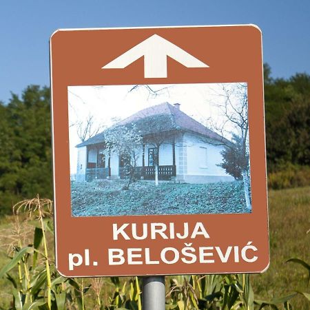 Kurija Inn Hrascina Екстер'єр фото