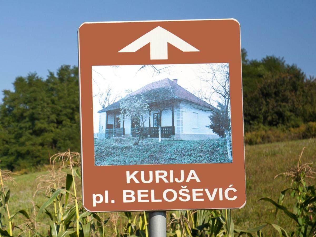 Kurija Inn Hrascina Екстер'єр фото